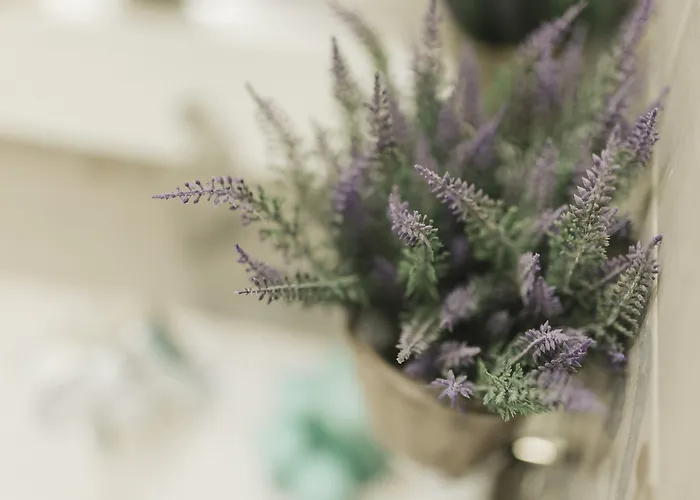 Gæstehus Giulietta Nei Sassi